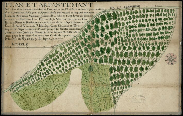 Les forêts de Gironde – Patrice Cablat // Création littéraire et Archives 2025 – 2026