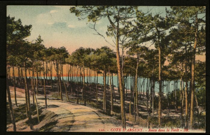 Les forêts de Gironde – Patrice Cablat // Création littéraire et Archives 2025 – 2026