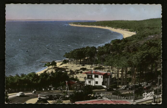 Les forêts de Gironde – Patrice Cablat // Création littéraire et Archives 2025 – 2026