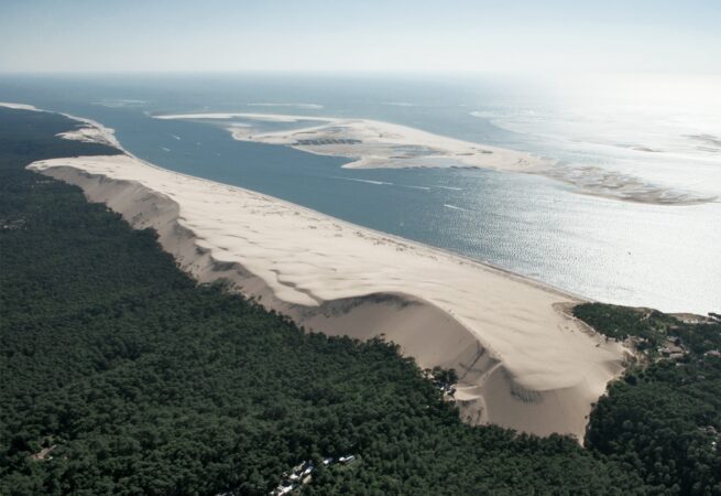 Les forêts de Gironde – Patrice Cablat // Création littéraire et Archives 2025 – 2026